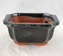 Glazed Shohin Accent Plants, Bonsai, Cactus Pot 5"x 4.25"x 2.25" with Mesh